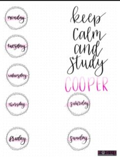 best bcba exam prep